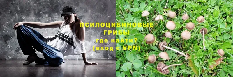 Псилоцибиновые грибы MAGIC MUSHROOMS  даркнет формула  Бор 